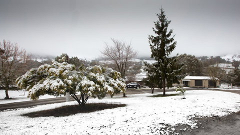 Pound Creek Gallery - Accommodation Ballina 8