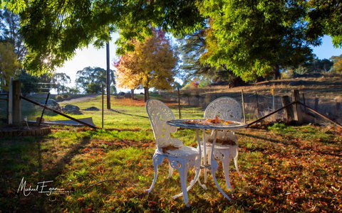 Pound Creek Gallery - Accommodation Ballina 27