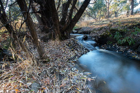 Pound Creek Gallery - Accommodation Ballina 26