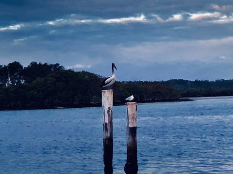 Boathouse Resort (Water Front) - Accommodation Ballina 15