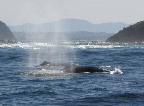 Boathouse Resort (Water Front) - Accommodation Ballina 26