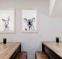 Mad Monkey Backpackers on Broadway - Accommodation Ballina