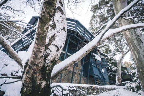 Pure Chalet Thredbo - Accommodation Ballina 21