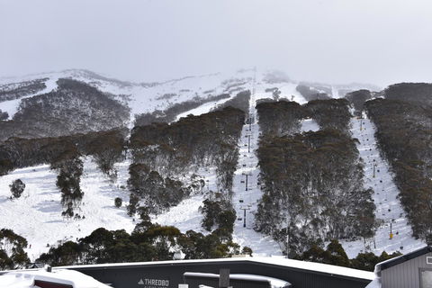Pure Chalet Thredbo - Accommodation Ballina 6