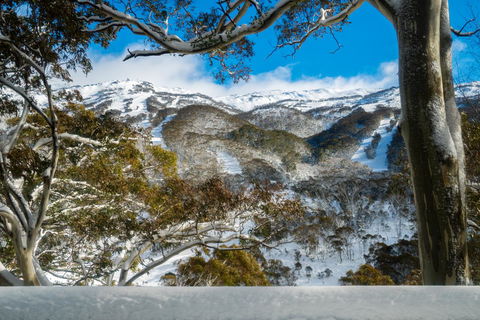 Pure Chalet Thredbo - Accommodation Ballina 17