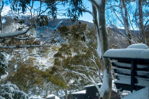 Pure Chalet Thredbo - Accommodation Ballina 30