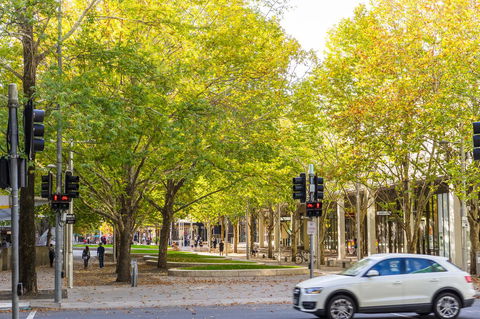 Highgate Executive Apartment City Walk Canberra - Accommodation Ballina 37