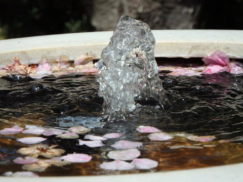 Bowral Road Bed And Breakfast - Accommodation Ballina 2