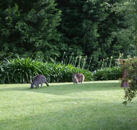 Bundanoon 2578 - Accommodation Ballina