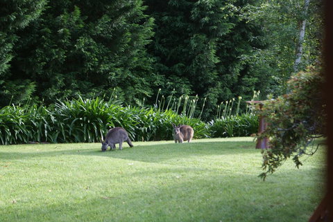 Bundanoon @2578 - Accommodation Ballina 0