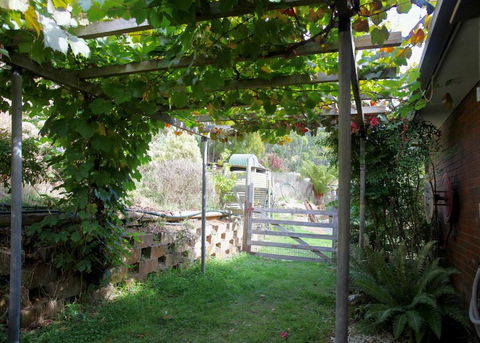 Bushy Park Retreat - Accommodation Ballina 3