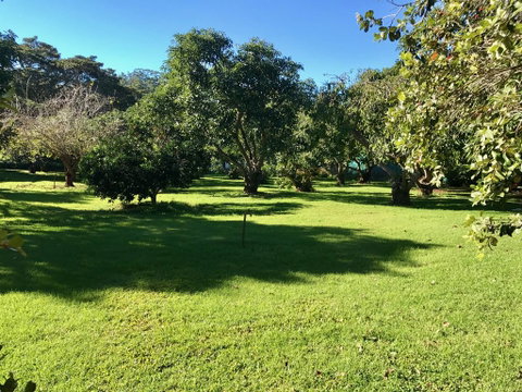 Camelot Cottages - Accommodation Ballina 2