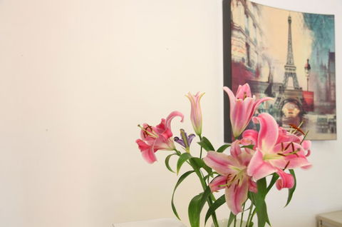 Carnegie Motor Inn - Accommodation Ballina 3