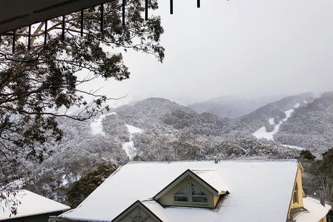 Celesia 2 - Accommodation Ballina 0