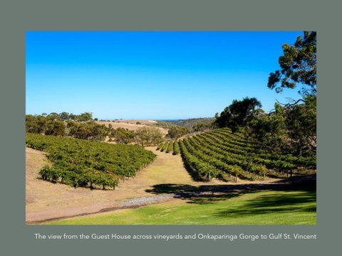 Chapel Hill Winery Guest House - Accommodation Ballina 1