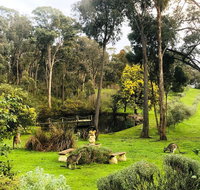 Countryside Retreat Intimate Studio Hepburn - Daylesford - Accommodation Ballina