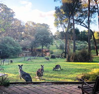 Countryside Retreat Spa Cottage Hepburn - Daylesford - Accommodation Ballina