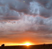 creative 3D sculpture share - Accommodation Ballina