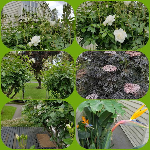Creek Cottage Bed And Breakfast - Accommodation Ballina 3