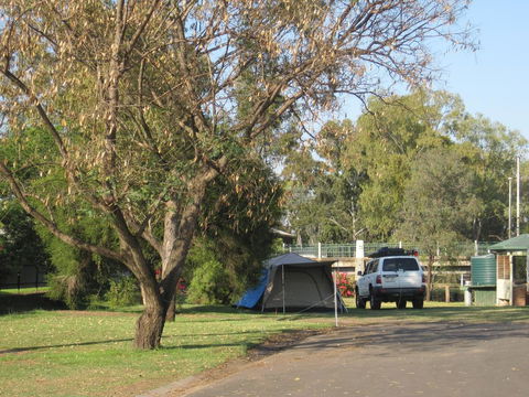 Dalby Tourist Park - Accommodation Ballina 3