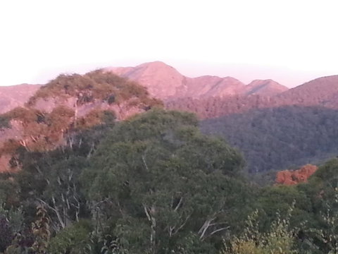 Day Dream Cottage - Accommodation Ballina 2