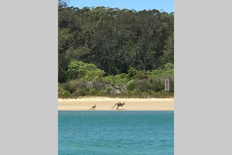 FAIRVIEW COTTAGE 25B - Waterfront Accommodation - Accommodation Ballina 0