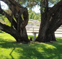 Farm Stay Studio - Accommodation Ballina