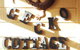 Gecko Cottage - thumb 3