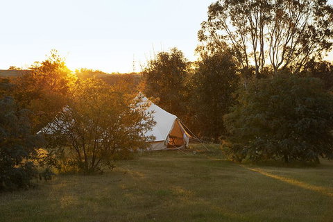 Goldfield Glamping - Accommodation Ballina 2