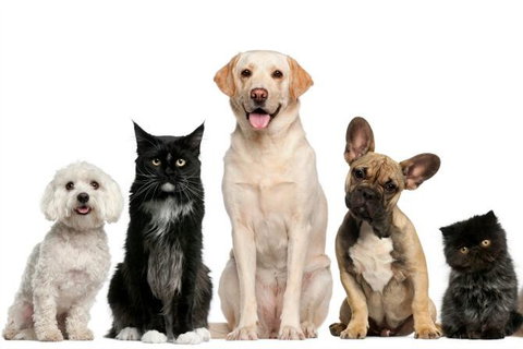 Golf Club Motor Inn Wingham - Accommodation Ballina 1