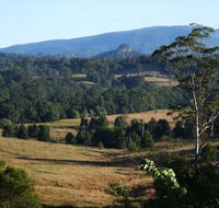 Grey Gum Lodge - Accommodation Ballina