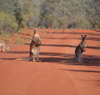 Gundabooka National Park Cottages - Accommodation Ballina