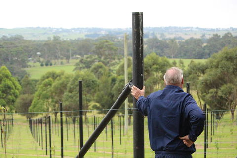 Gzone Farmstay - Accommodation Ballina 2