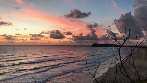 Hakuna Matata - Accommodation Ballina 3
