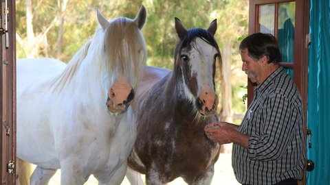 Hatchers Richmond Manor - Accommodation Ballina 1