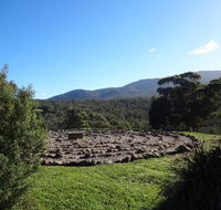 Hawksview at Mafeking - Accommodation Ballina
