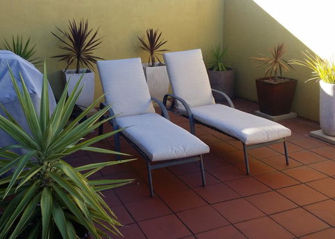 High On Penguin - Accommodation Ballina 1