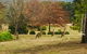 Highfield Cottage - thumb 2