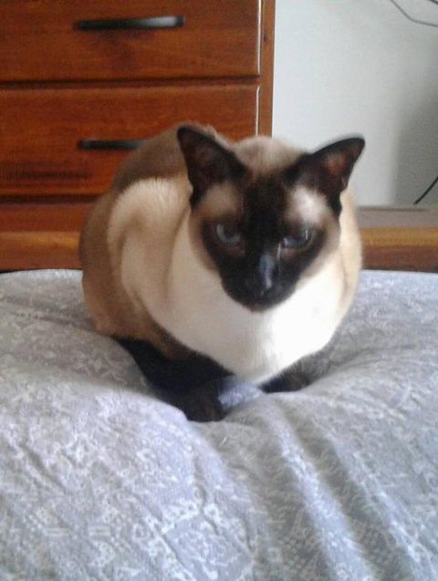 Home Away From Home - Accommodation Ballina 3