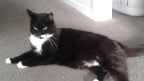 Home Away From Home - Accommodation Ballina 2