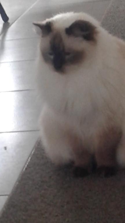 Home Away From Home - Accommodation Ballina 1