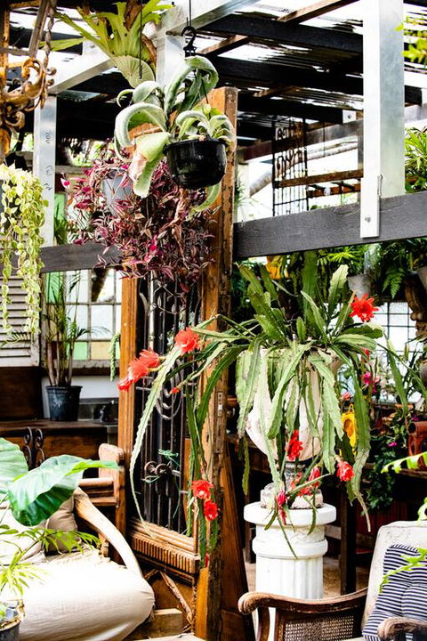 Jaspers Apartments - Accommodation Ballina 3