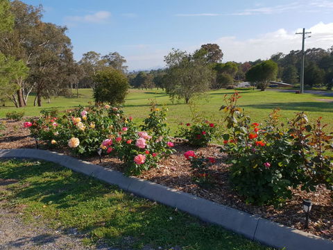 Kandos Fairways Motel - Accommodation Ballina 2