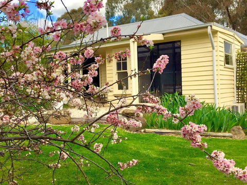Koovelly Garden Studio - Accommodation Ballina 2