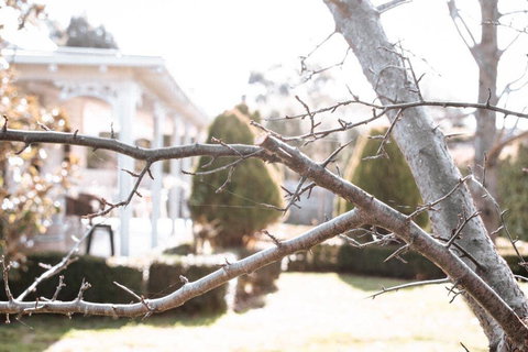 Lauristina Guest House - Accommodation Ballina 1