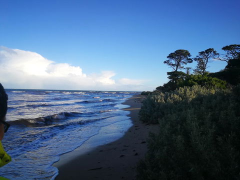 Lily Family - Accommodation Ballina 2