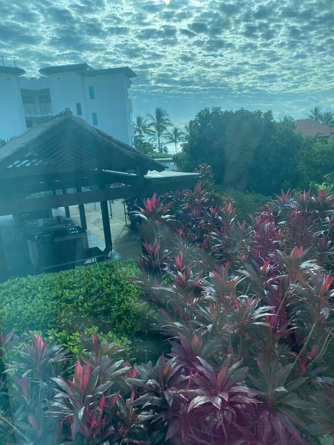 Luxury Apartment, Perfect Location - Accommodation Ballina 3