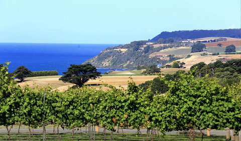 Mallavale Farm, Boat Harbour - Accommodation Ballina 0