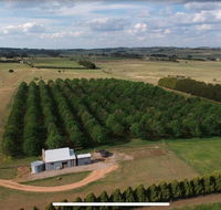 Millthorpe Truffles - Gorgeous getaway for 2 - Accommodation Ballina