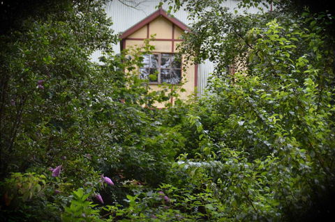 Mountain Lodge - Accommodation Ballina 1